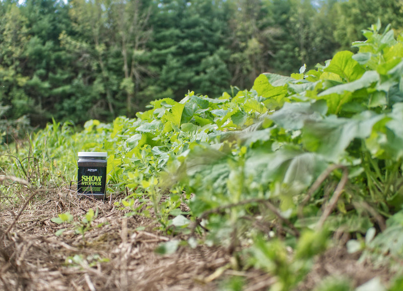 Load image into Gallery viewer, Show Stopper™ Food Plot Seed
