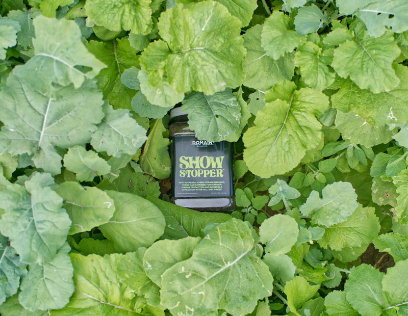 Load image into Gallery viewer, Show Stopper™ Food Plot Seed
