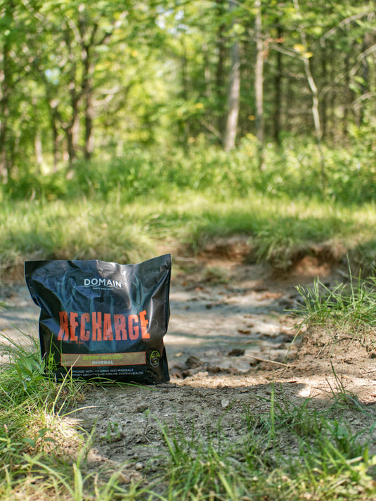 Recharge™ Deer Mineral