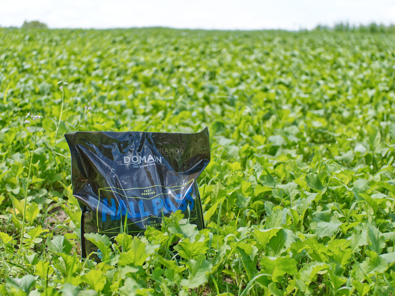 Load image into Gallery viewer, Hall Pass™ Food Plot Seed
