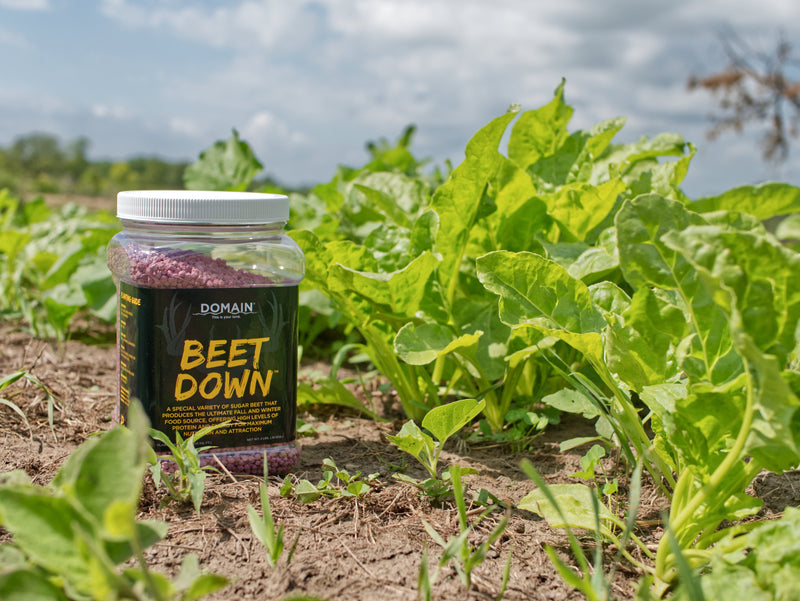 Load image into Gallery viewer, Beet Down™ Food Plot Seed
