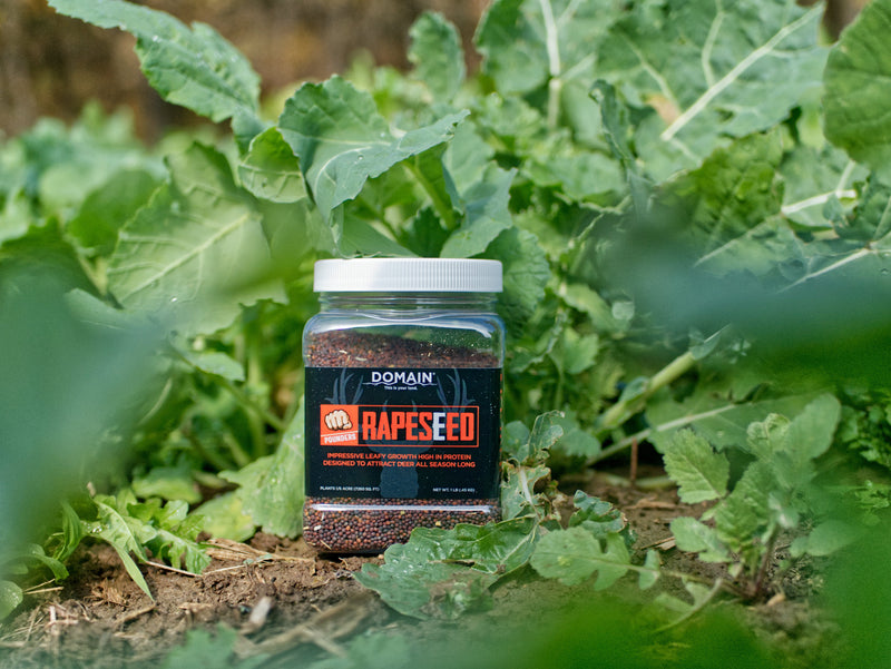 Load image into Gallery viewer, Domain Pounder – Rapeseed Food Plot Seed
