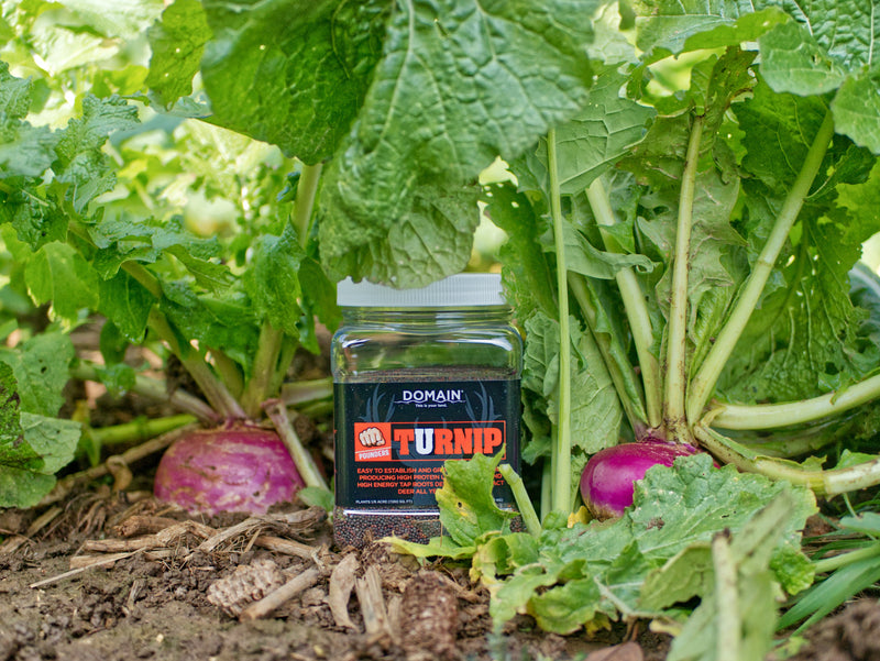Load image into Gallery viewer, Domain Pounder – Turnip Food Plot Seed
