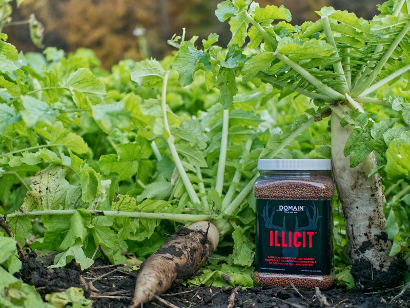 Load image into Gallery viewer, Illicit™ Food Plot Seed
