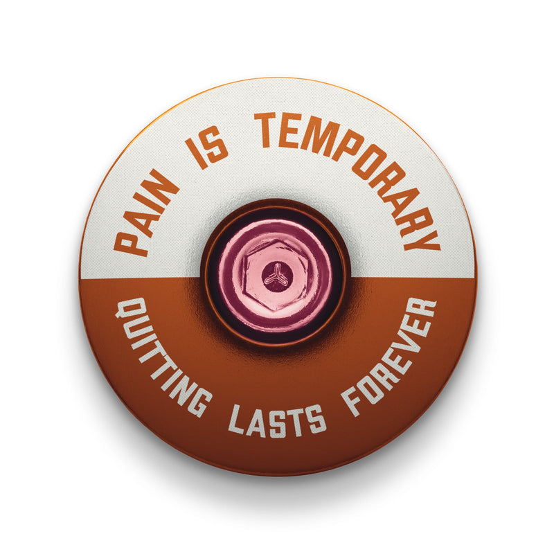 Load image into Gallery viewer, Pain is Temporary - Quitting Lasts Forever Bicycle Headset Cap
