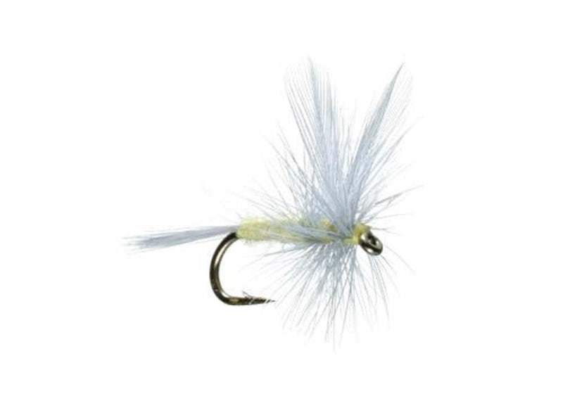 Load image into Gallery viewer, Pale Morning Dun PMD Classic Dry Fly - 6 Flies Hook Size 14
