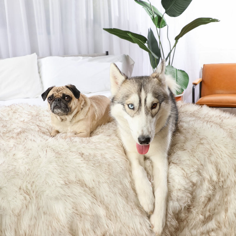 Load image into Gallery viewer, PupProtector™ Waterproof Throw Blanket - White with Brown Accents
