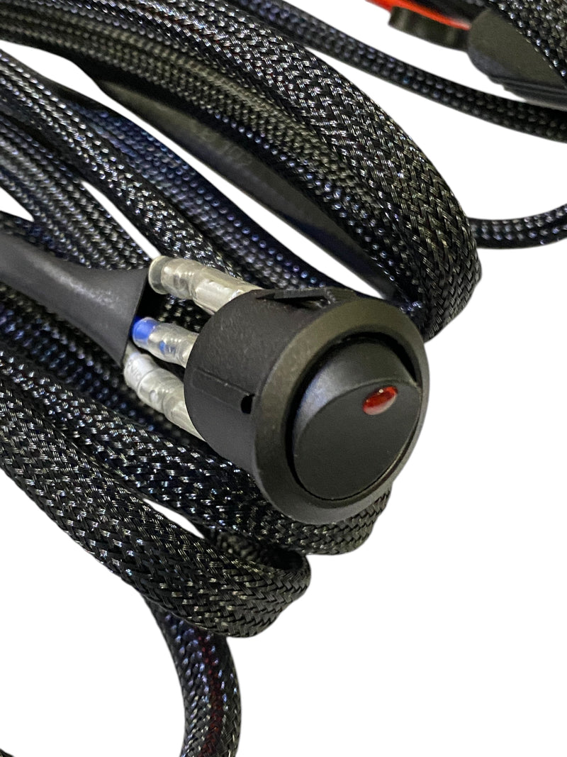 Load image into Gallery viewer, SALE: Single Wiring Harness
