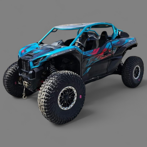 KAWASAKI KRX 1000 2 SEAT CAGE