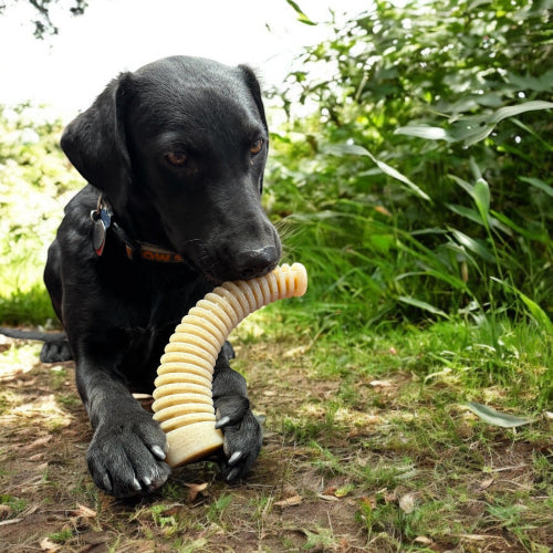 Load image into Gallery viewer, Flufflehorn Dental Antler - Indestructible Nylon Dog Chew Toy XL | USA Made
