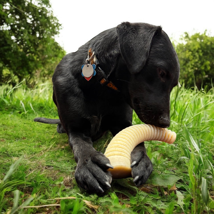 Load image into Gallery viewer, Flufflehorn Dental Antler - Indestructible Nylon Dog Chew Toy XL | USA Made
