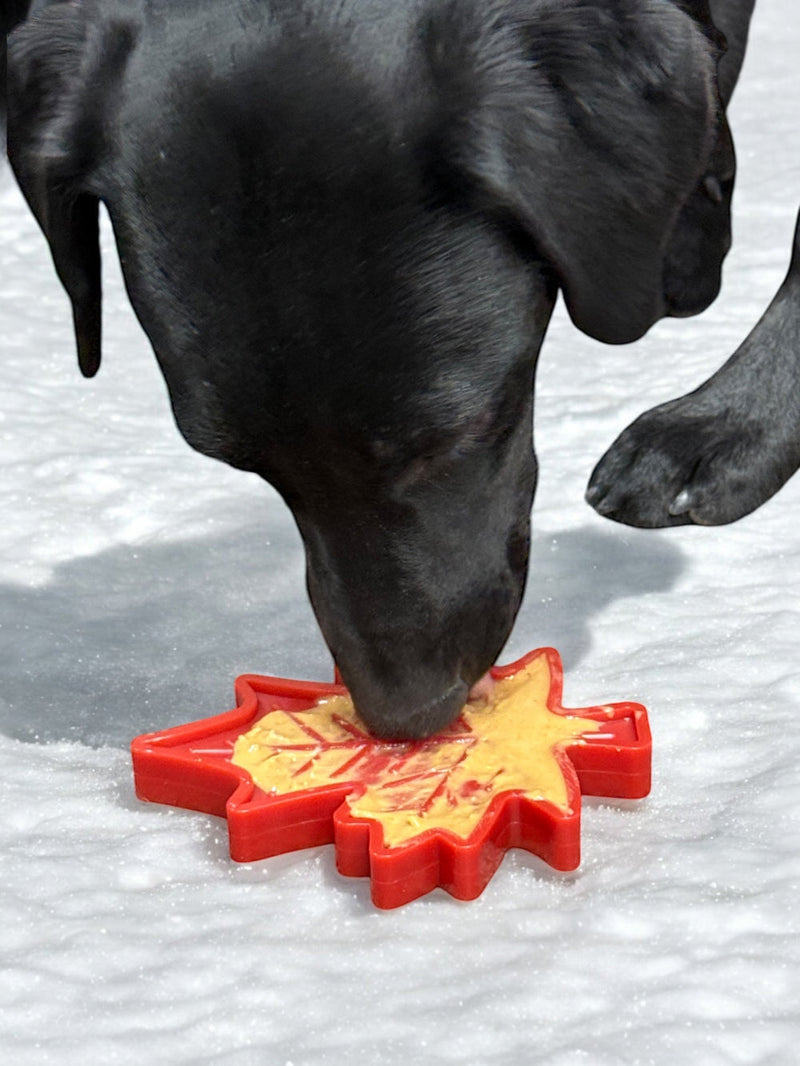 Load image into Gallery viewer, Canadian Maple Leaf Nylon Dog Chew Toy - Indestructible &amp; USA Made
