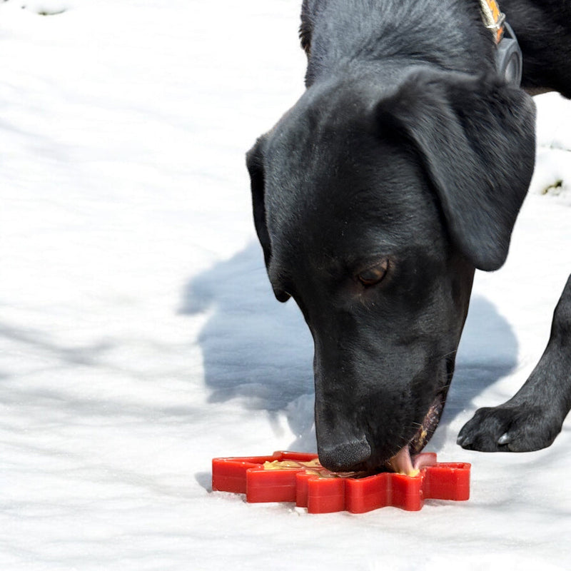 Load image into Gallery viewer, Canadian Maple Leaf Nylon Dog Chew Toy - Indestructible &amp; USA Made
