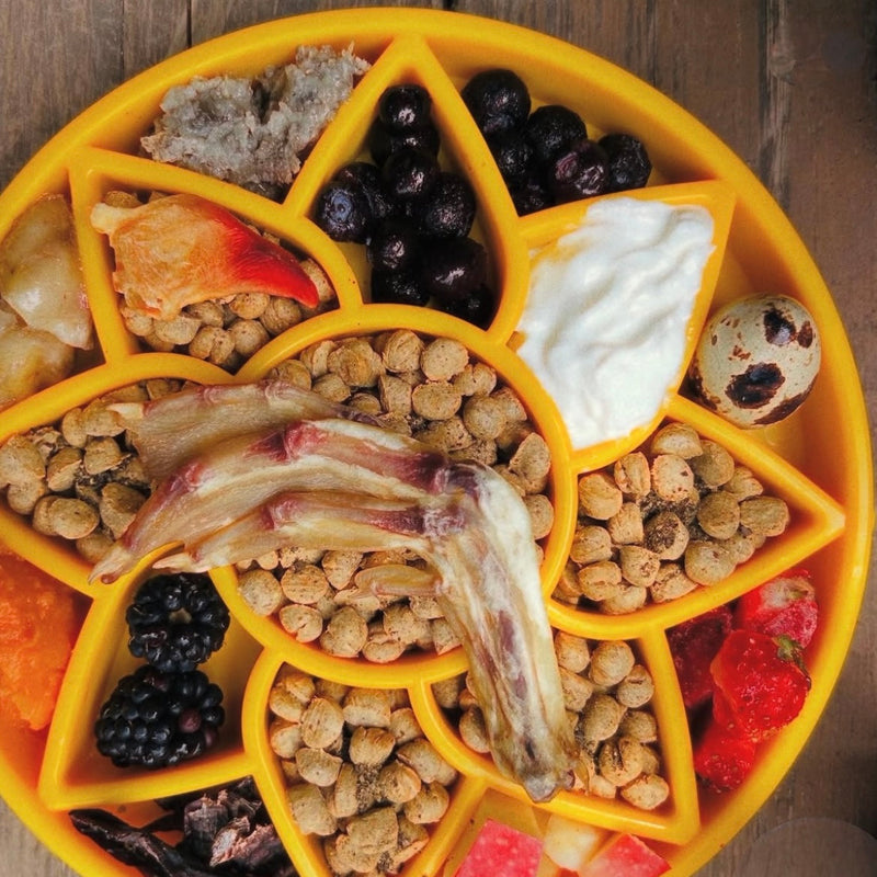 Load image into Gallery viewer, Sunflower eTray Shallow Slow Feeder Dog Bowl for Enrichment | USA Made

