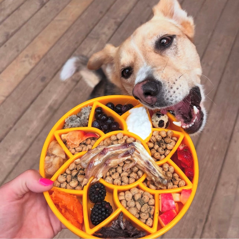 Load image into Gallery viewer, Sunflower eTray Shallow Slow Feeder Dog Bowl for Enrichment | USA Made
