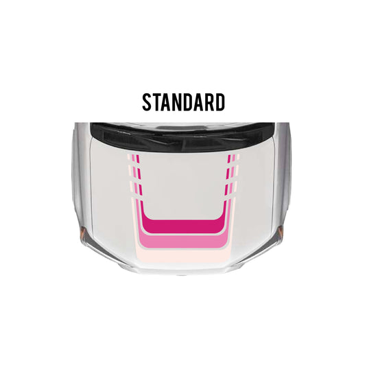 2010-2024 4Runner Checkered Stripe Kit