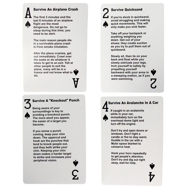 Load image into Gallery viewer, Survival Tips Playing Cards
