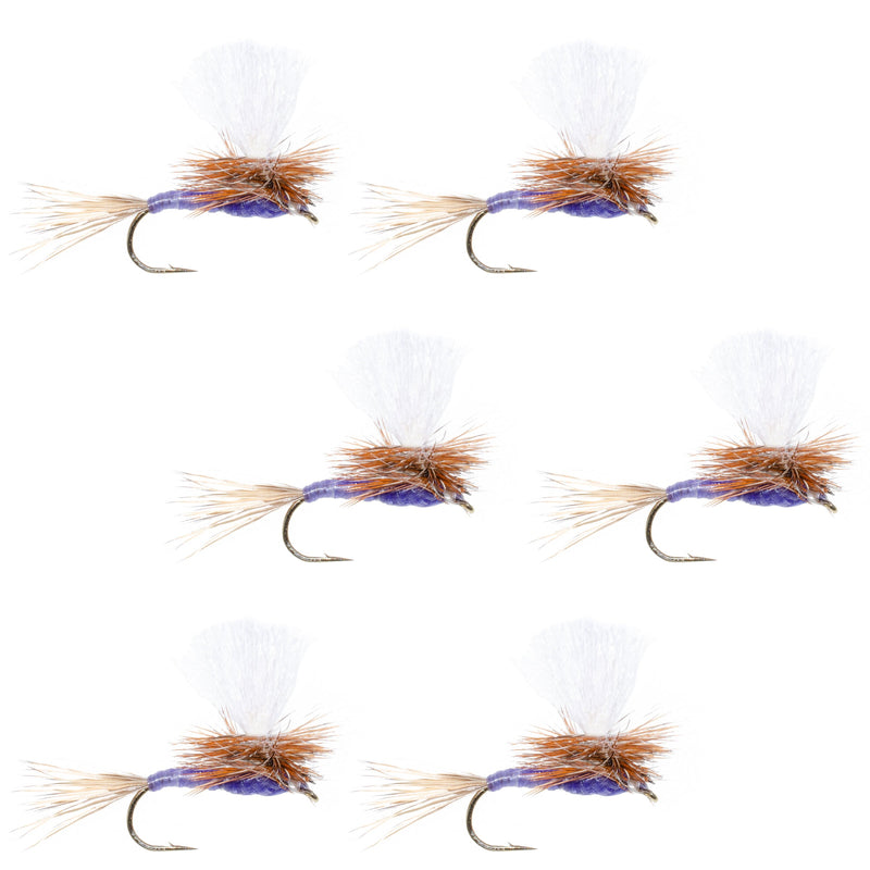 Load image into Gallery viewer, Parachute Purple Haze Dry Fly - 6 Flies Size 12
