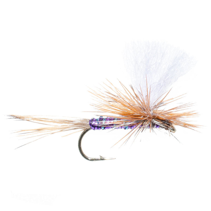 Load image into Gallery viewer, Parachute Super Flash Purple Haze Dry Fly - 6 Flies Size 14
