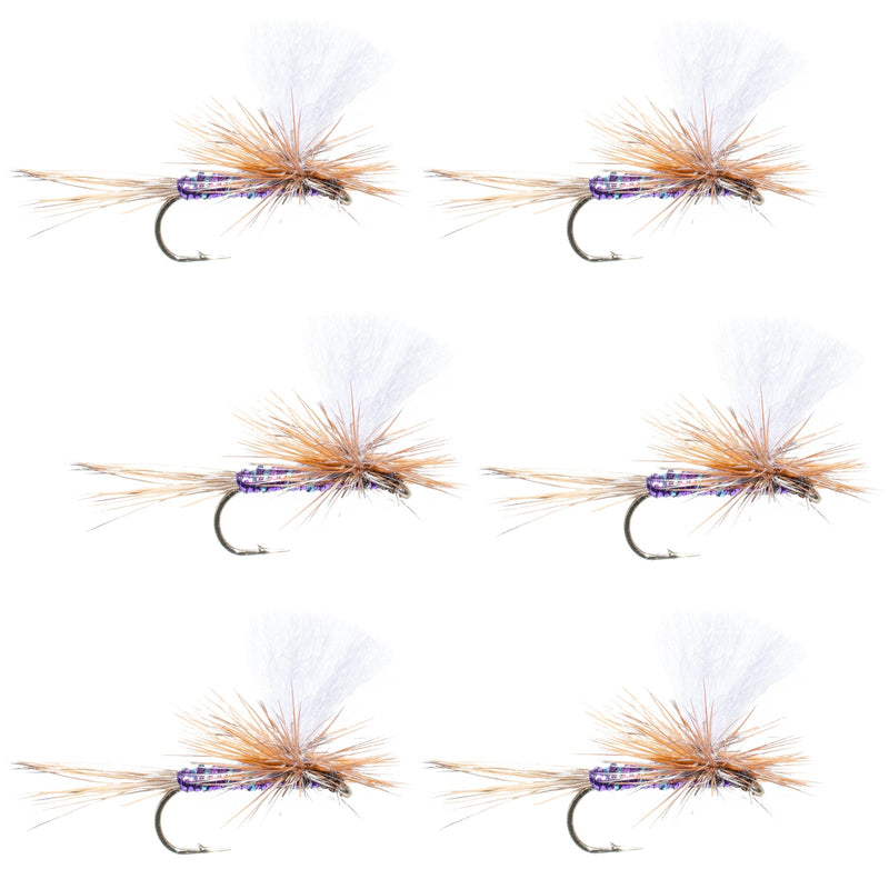 Load image into Gallery viewer, Parachute Super Flash Purple Haze Dry Fly - 6 Flies Size 14
