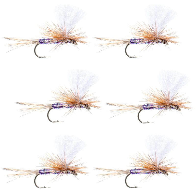 Load image into Gallery viewer, Parachute Super Flash Purple Haze Dry Fly - 6 Flies Size 12
