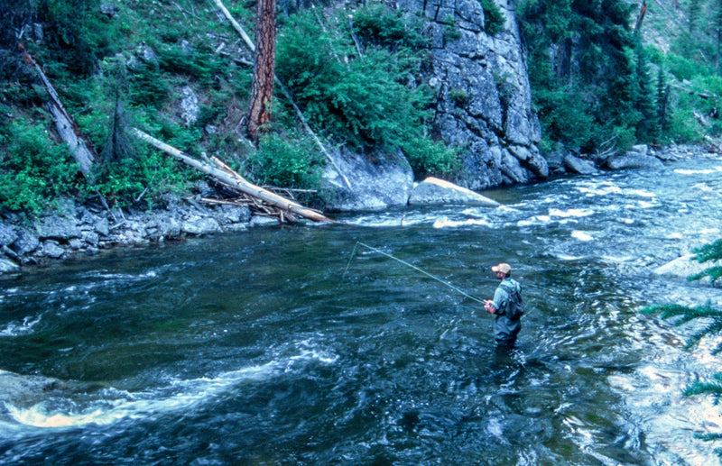 Load image into Gallery viewer, Tungsten Bead Chartreuse Mop Fly Tactical Jig Czech Euro Nymph Barbless Fly - 1 Dozen Flies Size 14
