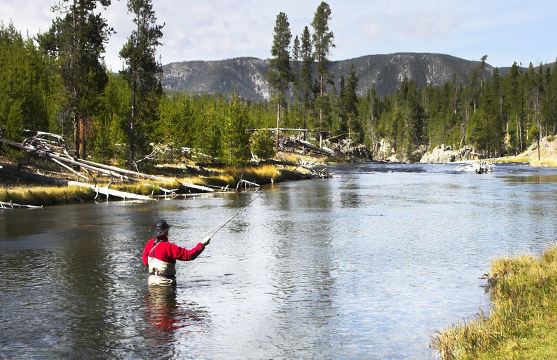 Load image into Gallery viewer, Basics Collection - Kaufmann's Brown Stonefly Kit 10 Flies #Sizes 6-12
