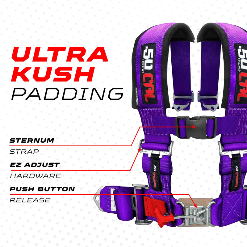 Load image into Gallery viewer, Pro Series 3" 4 point Latch Harness 50 Caliber Racing
