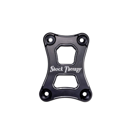 Shock Therapy Radius Pull Plate for RZR Pro R