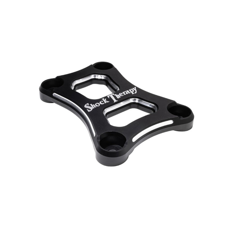 Load image into Gallery viewer, Shock Therapy Radius Pull Plate for RZR Pro R
