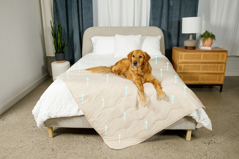 Load image into Gallery viewer, PupChill™ Cooling Waterproof Blanket - Arctic Sand
