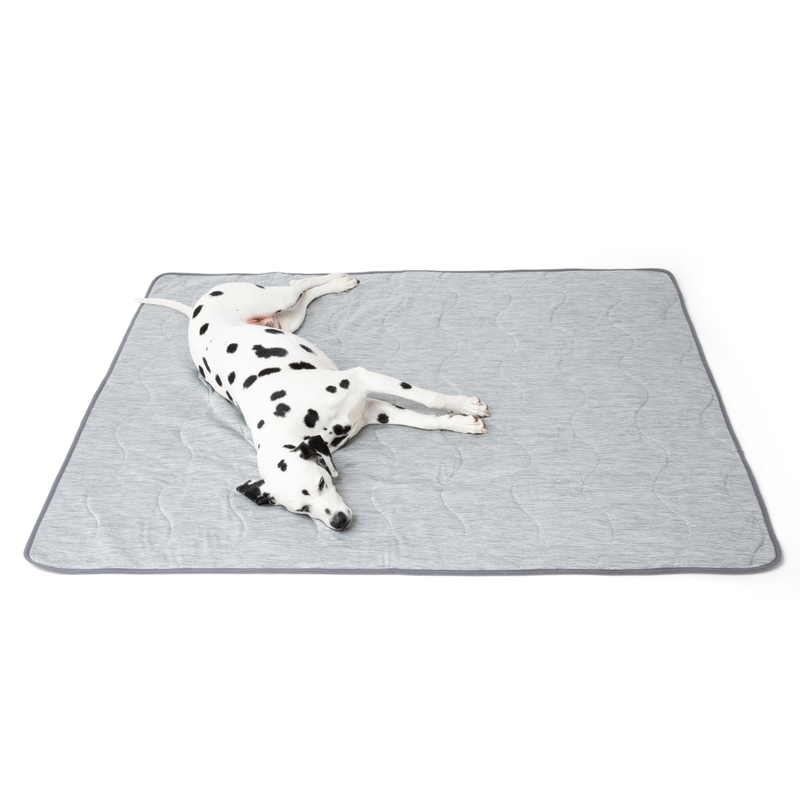 Load image into Gallery viewer, PupChill™ Cooling Waterproof Blanket - Arctic Grey
