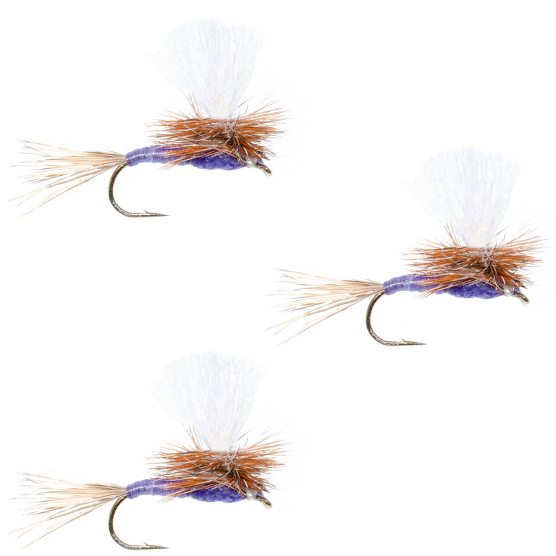 Load image into Gallery viewer, 3 Pack Parachute Purple Haze Dry Fly - Size 20
