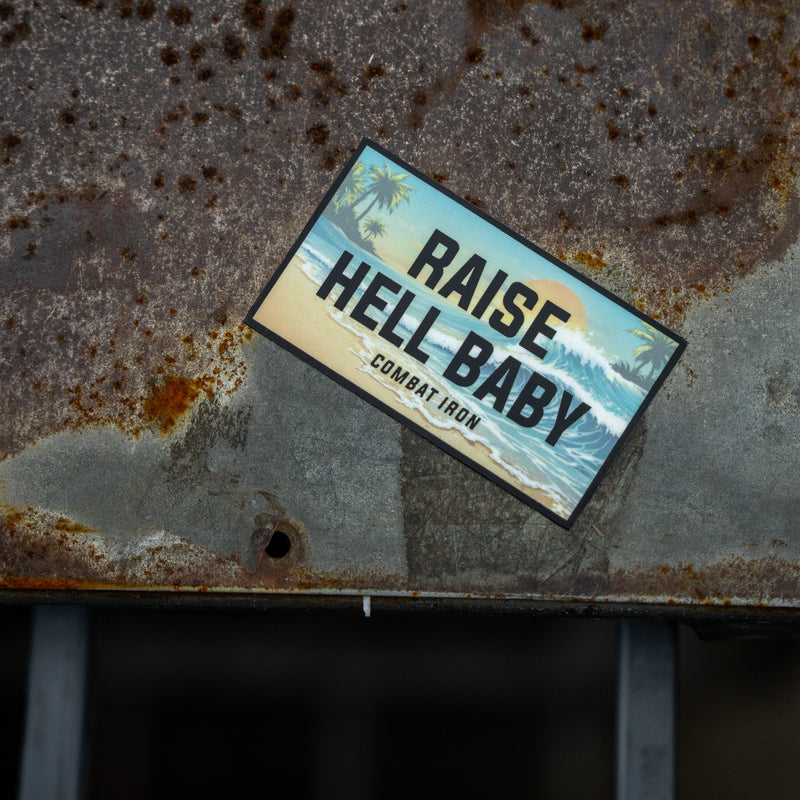 Load image into Gallery viewer, Raise Hell Baby Sunset Decal
