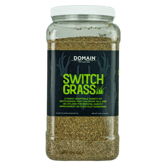 RC Big Rock Switchgrass Food Plot Seed