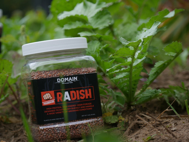 Load image into Gallery viewer, Domain Pounder – Radish Food Plot Seed
