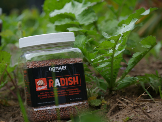 Domain Pounder – Radish Food Plot Seed