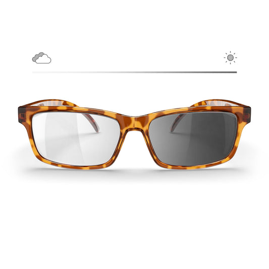 Tortoise Rectangle Prescription Transitions® XTRActive Polarized