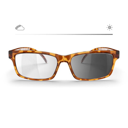 Tortoise Rectangle Prescription Transitions® XTRActive Polarized