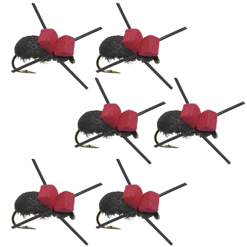 Load image into Gallery viewer, Red Top Black Foam Beetle Terrestrial Trout Dry Fly Fishing Flies - 6 Flies Size 14
