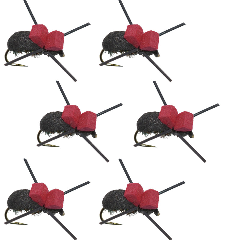 Load image into Gallery viewer, Barbless Red Top Black Foam Beetle Terrestrial Trout Dry Fly Fishing Flies - 6 Flies Size 14
