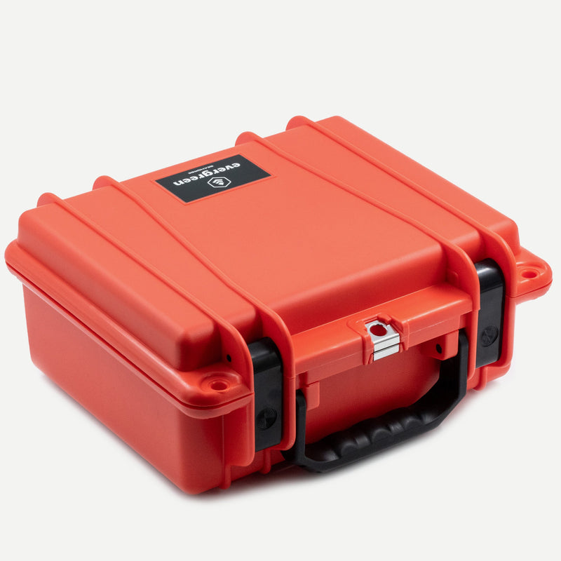 Load image into Gallery viewer, Seahorse 300
