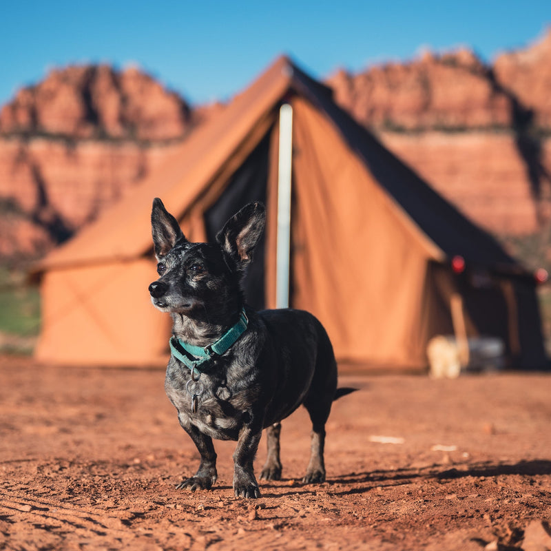 Load image into Gallery viewer, Regatta Bell Tent

