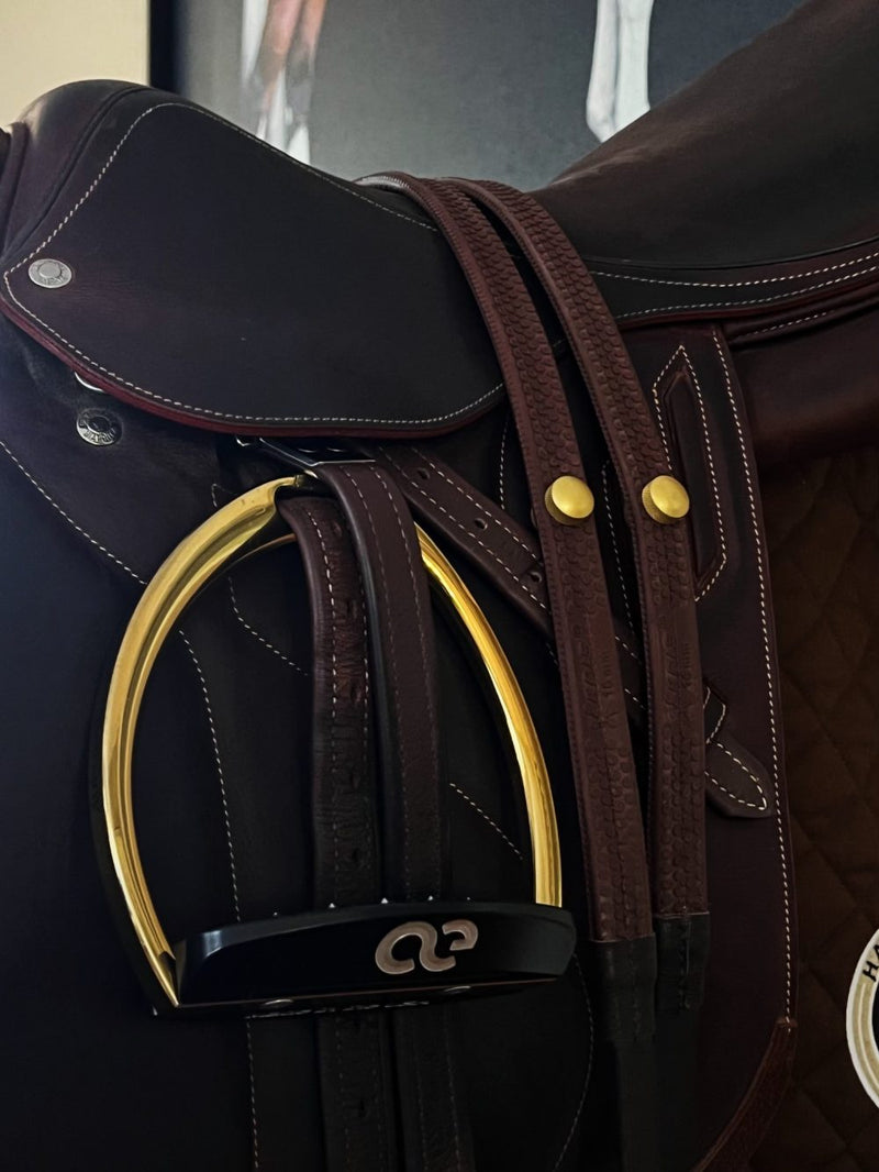 Load image into Gallery viewer, American Equus ReinDots™
