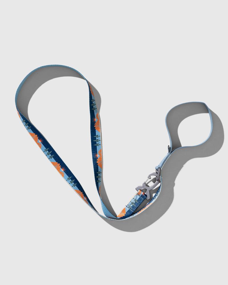 Load image into Gallery viewer, (R)evolution™ Recycled Woven Dog Leash
