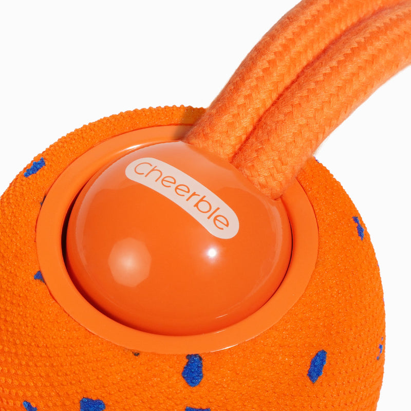 Load image into Gallery viewer, Wicked Ball Rolly
