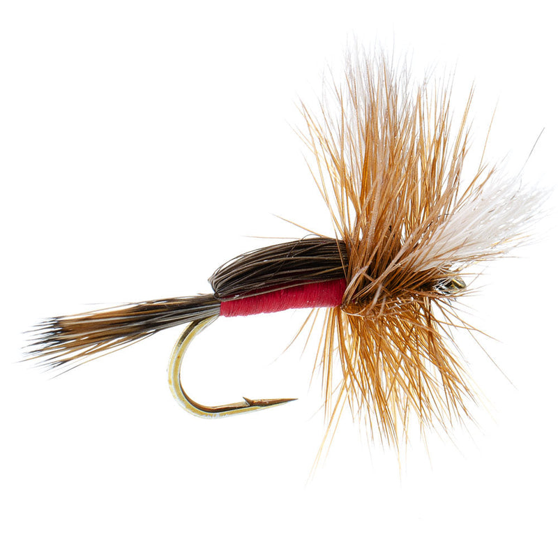 Load image into Gallery viewer, Royal Humpy Classic Hair Wing Dry Fly - 6 Flies Hook Size 16
