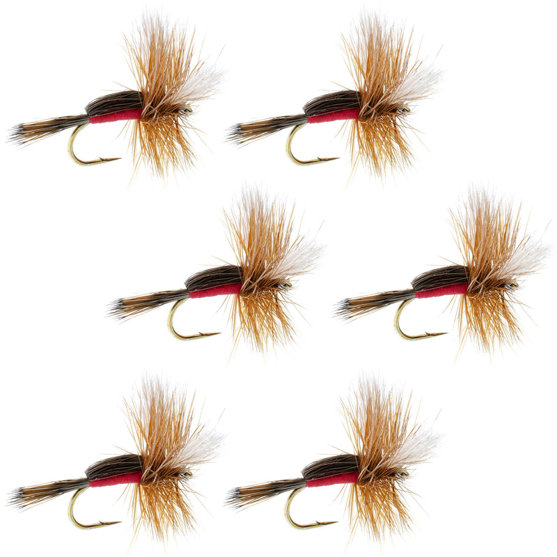 Load image into Gallery viewer, Royal Humpy Classic Hair Wing Dry Fly - 6 Flies Hook Size 14
