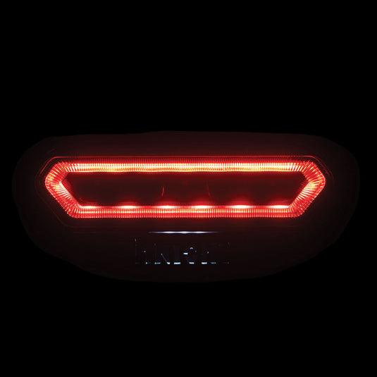 Honda Tail Light with Reverse