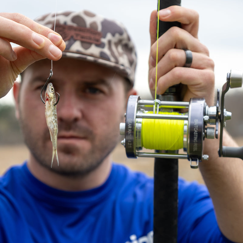 Load image into Gallery viewer, Reaction Tackle Heavyweight Catfish Circle Hooks - Offset Octopus Hooks (25 Pack) - New
